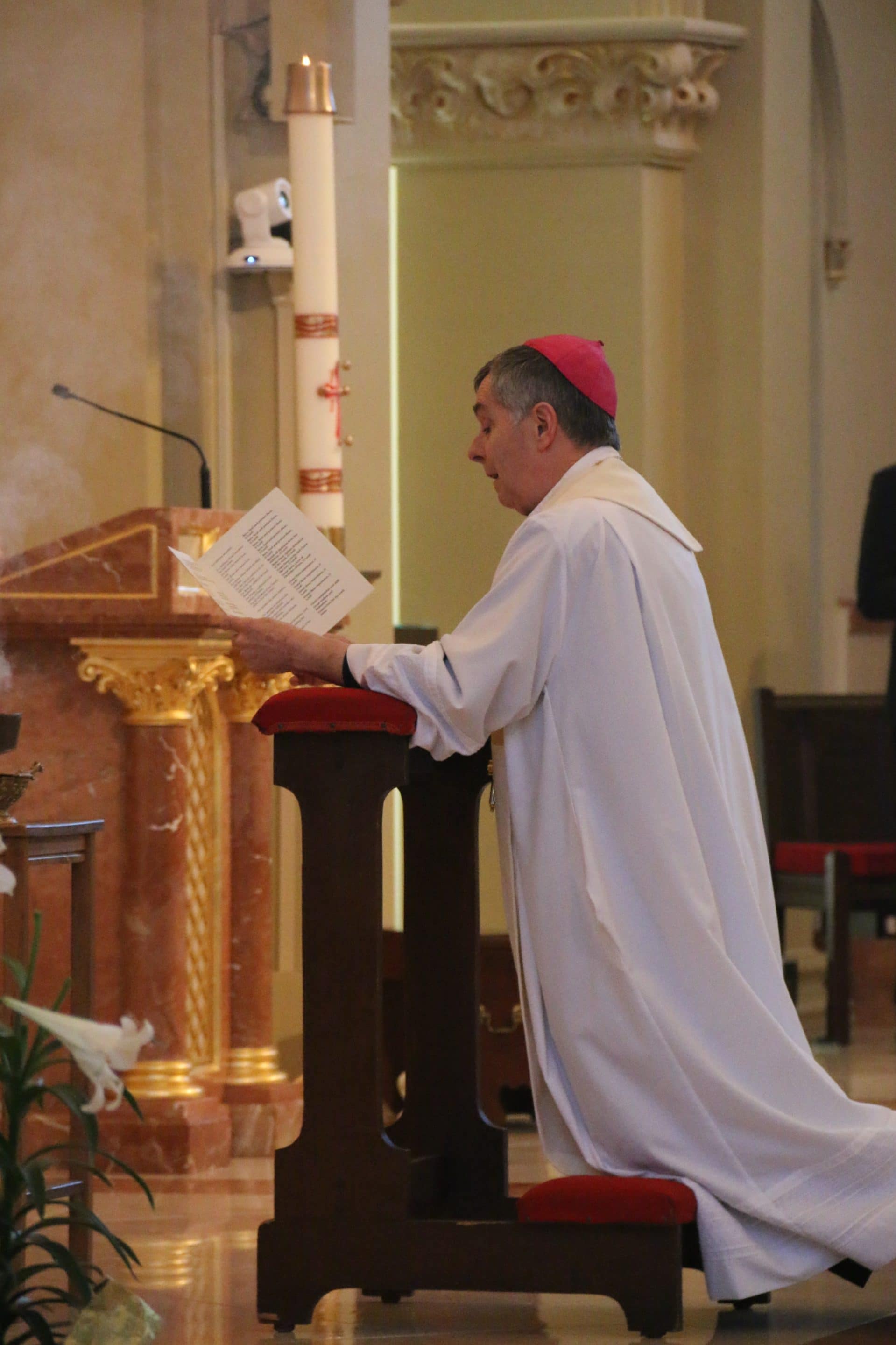 Fr. Stephen Van Lal Than