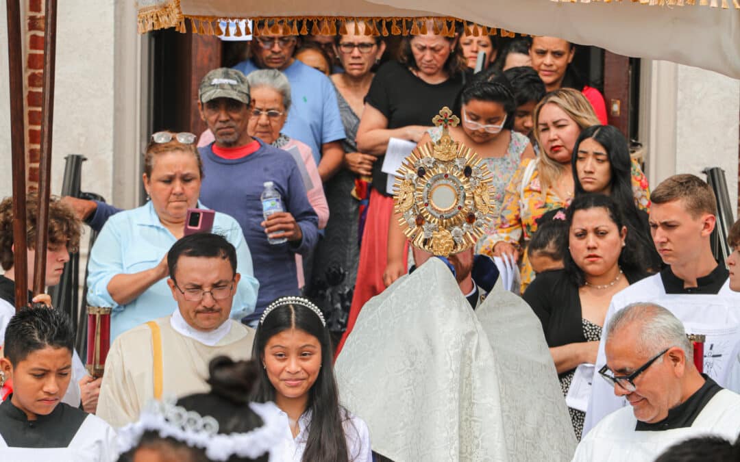 Source & Summit: The Twentieth Sunday in Ordinary Time