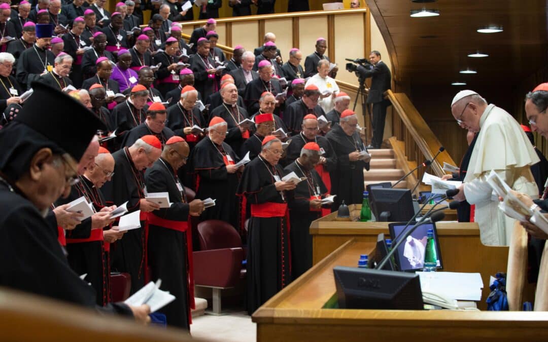 As we experience the next step of the synod, ‘be not afraid’