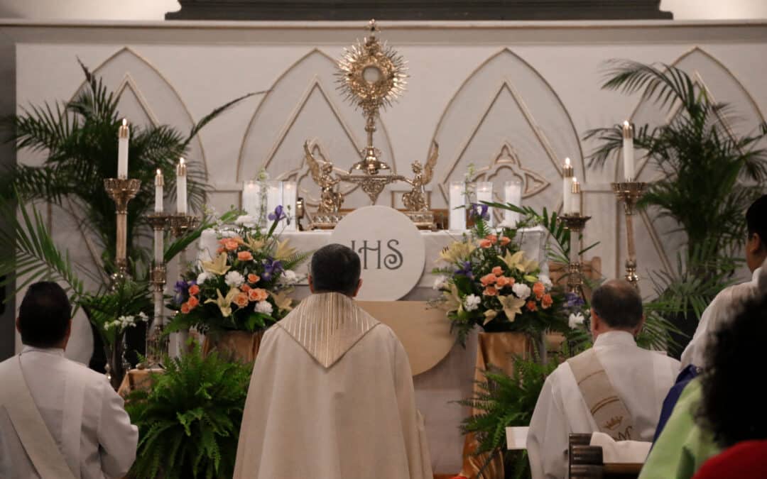 Source & Summit: The Twenty-Fourth Sunday in Ordinary Time