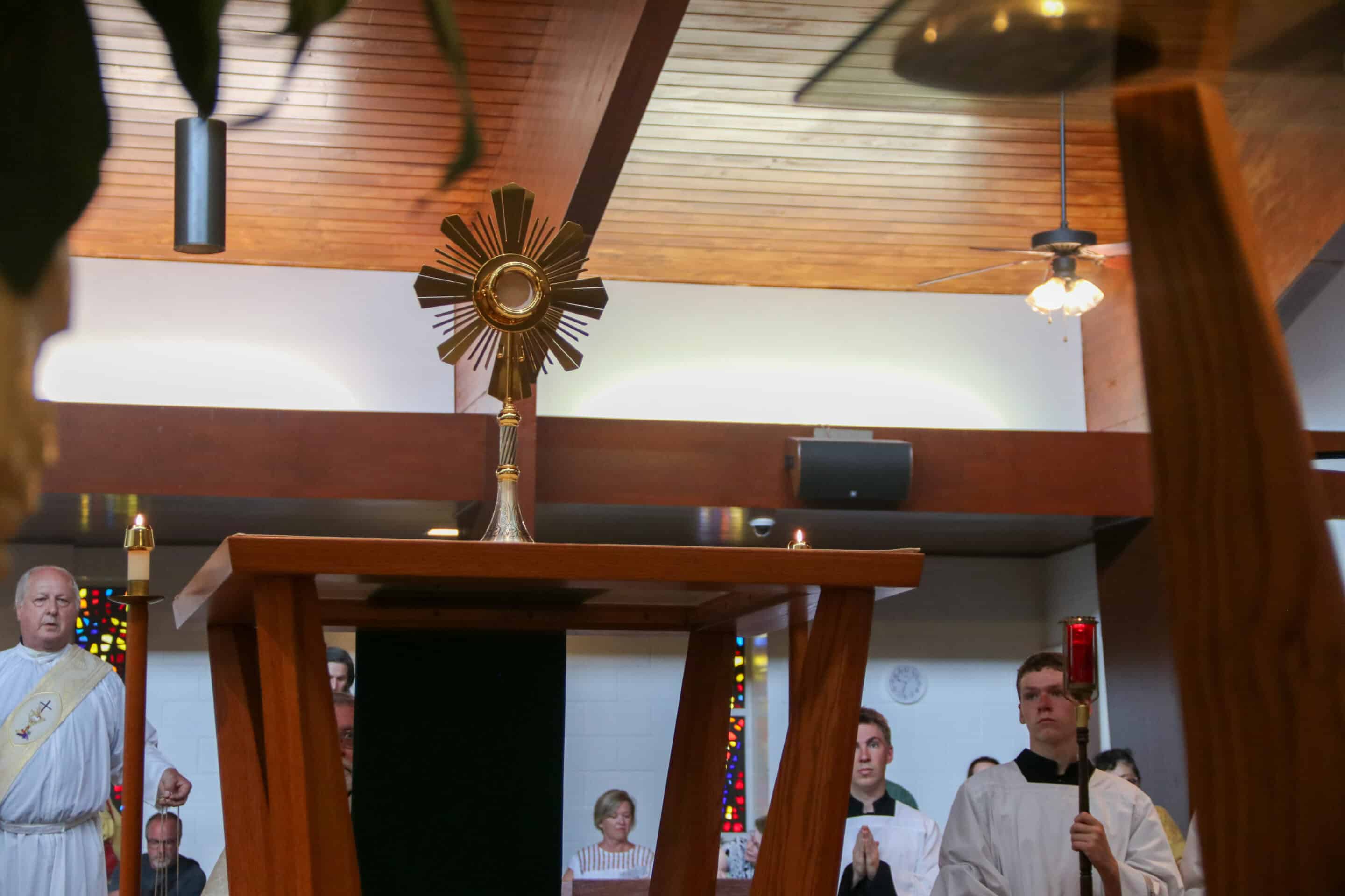 Fr. Stephen Van Lal Than