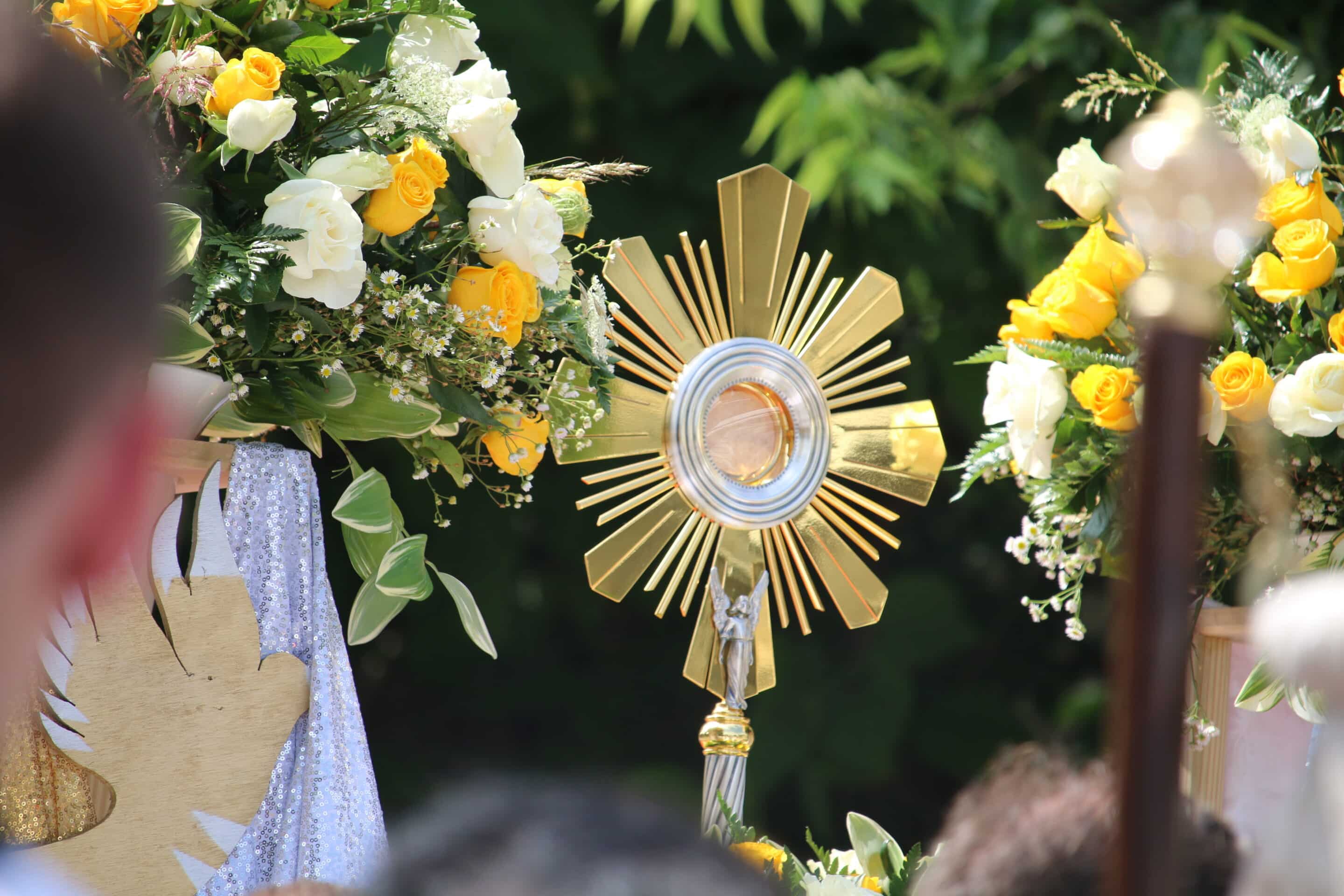 Monstrance_BGpilgrimage Fr. Stephen Van Lal Than