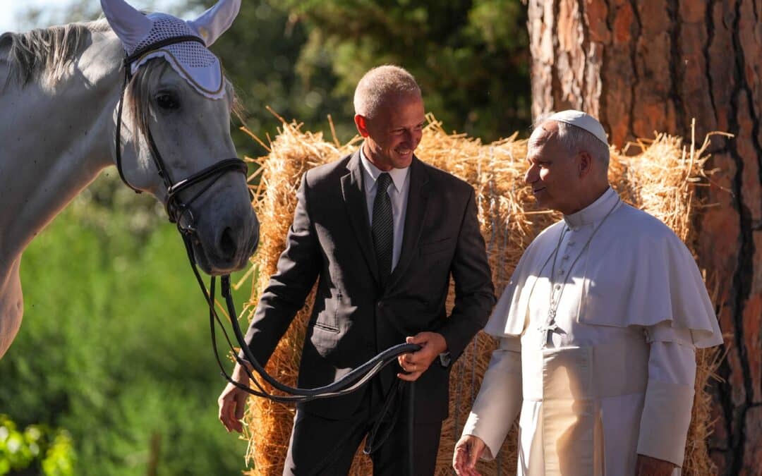 Conversion of heart needed to end wars, heal Earth, pope says